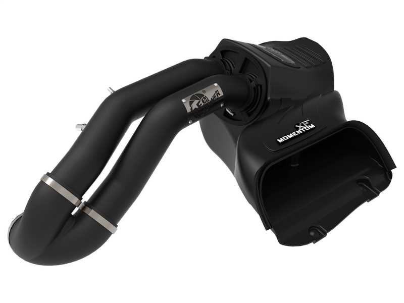 Momentum XP Pro DRY S Air Intake System 50-30024D